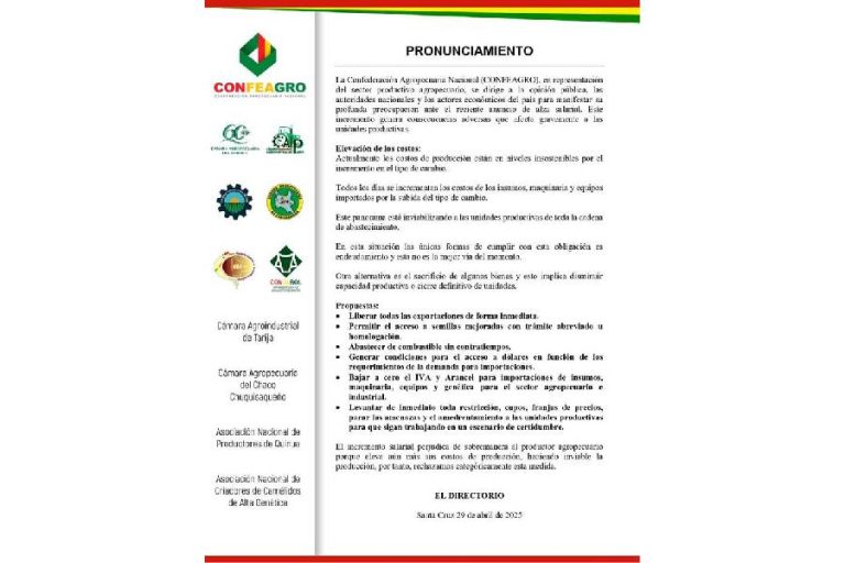 Pronunciamiento