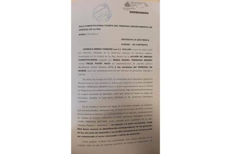 Proyecto nuevo (5)